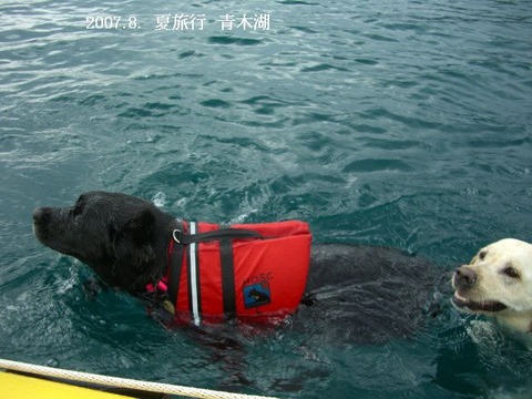 2007.8.夏旅行5