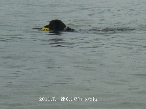 2011.7.琵琶湖7