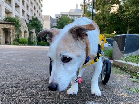 33BB4F98-66C2-4C95-9DCB-68782E792BAC