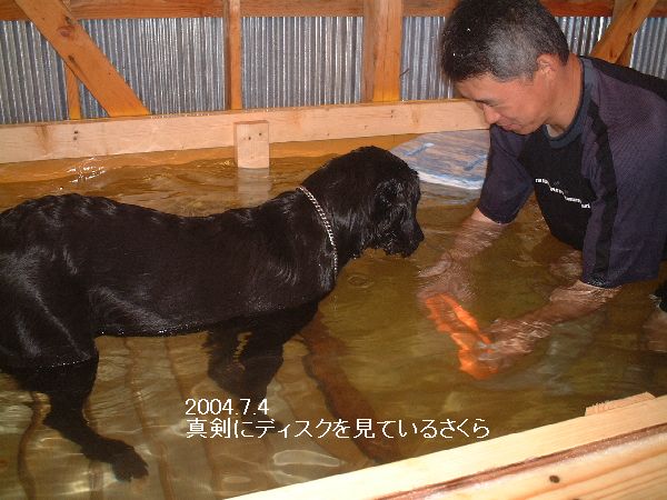 イメージ 3