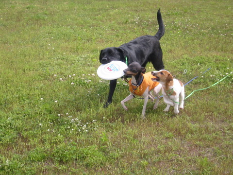 05．5.8ご機嫌な3頭