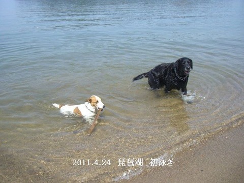 2011.4.11.琵琶湖