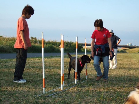 2005_0605(013)