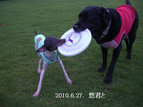 2010.6.27.悠くん