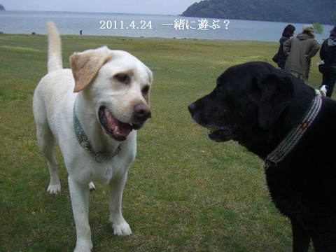 2011.4.24.琵琶湖2
