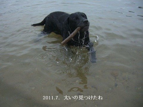 2011.7.琵琶湖5
