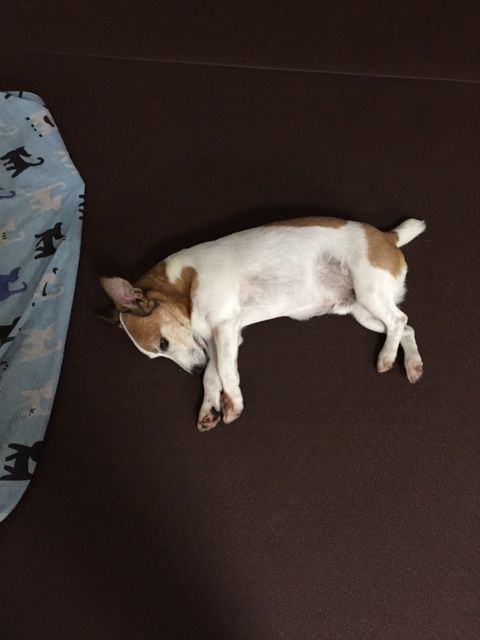 イメージ 2
