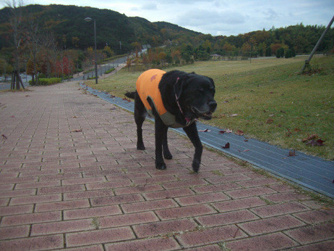 2012.11.2-3