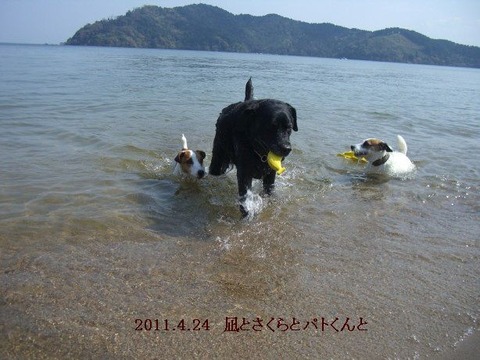 2011.4.24.琵琶湖6