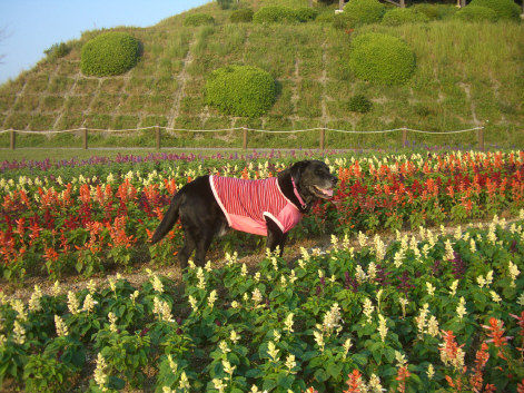 2011.10.1-12