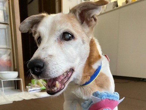 C3910827-5458-4D6E-B2DE-6E36CFDF8B06