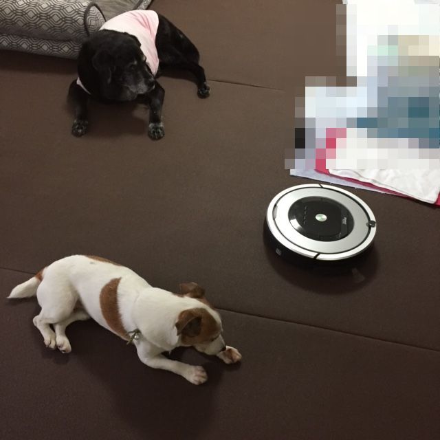 イメージ 1