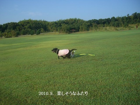 2010.9.淡路島5