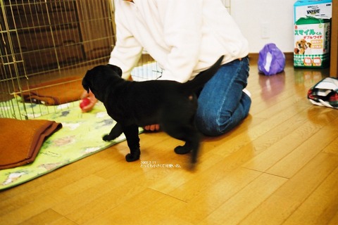 2002.1
