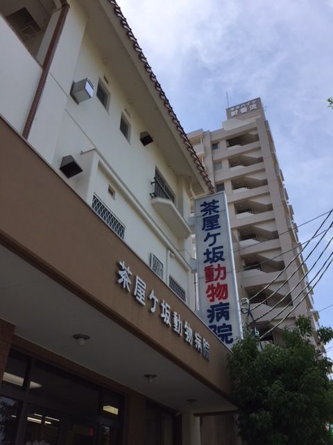 イメージ 1