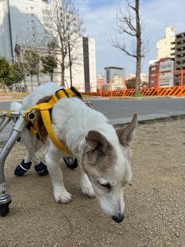 IMG_8279