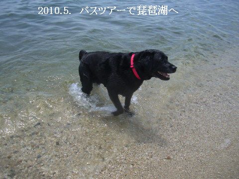 2010.5.15.バスツアー琵琶湖