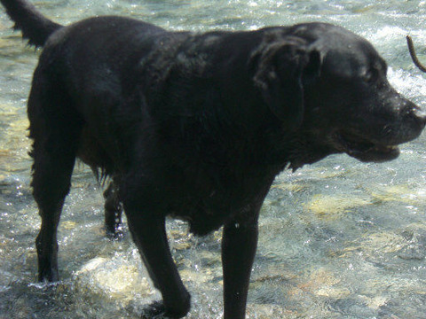 2011.8.夏旅行4-11