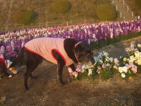 2014.11.1-18