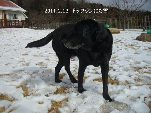 2011.2.13.淡路島4