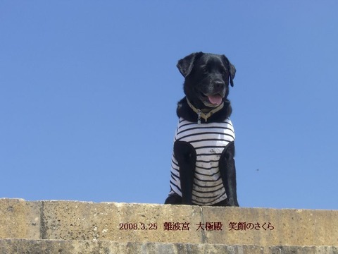 2008.3.3