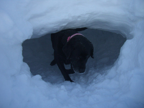 2012.1.2-16