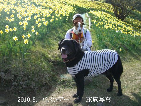 2010.5.家族写真琵琶湖バレイ