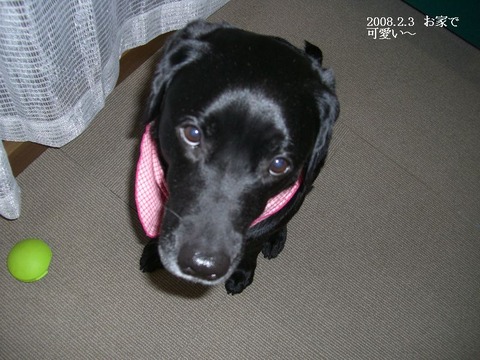 2008.2.2
