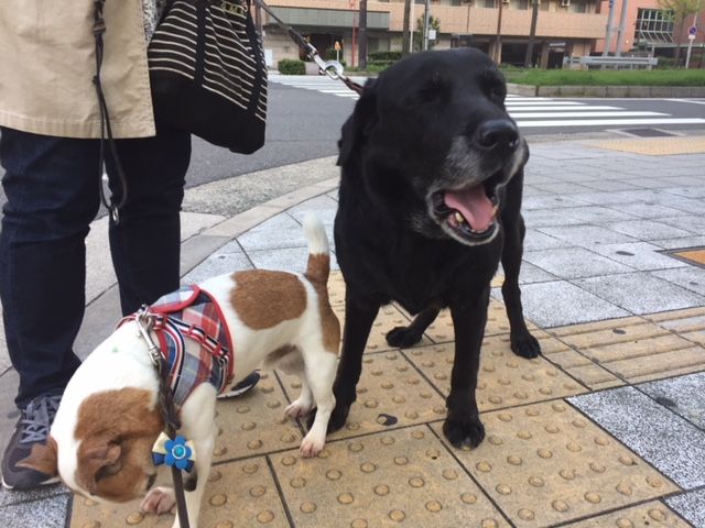 イメージ 1