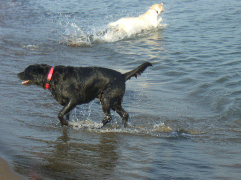 2011.8.夏旅行2-11