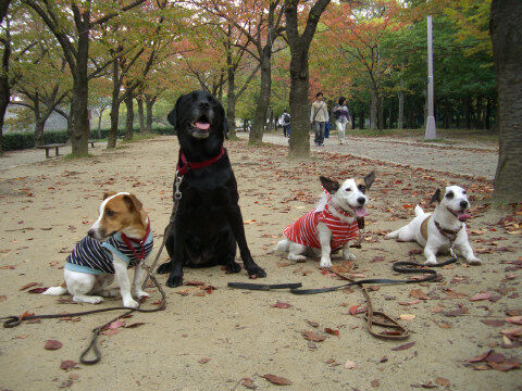 大阪城公園2007