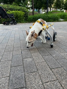 IMG_0557