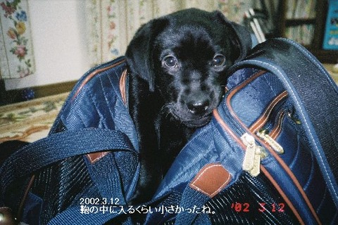 2002.7