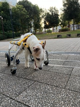 IMG_1212