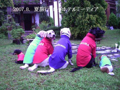 2007.8.夏旅行2