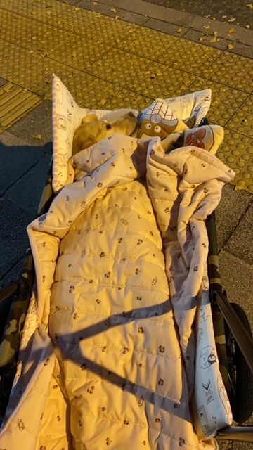 ハナちゃん