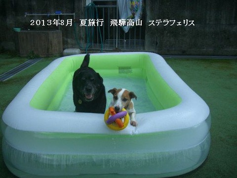 2013.8.1-16