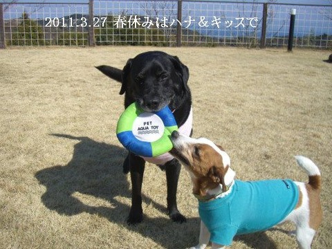 2011.3.27.淡路島1