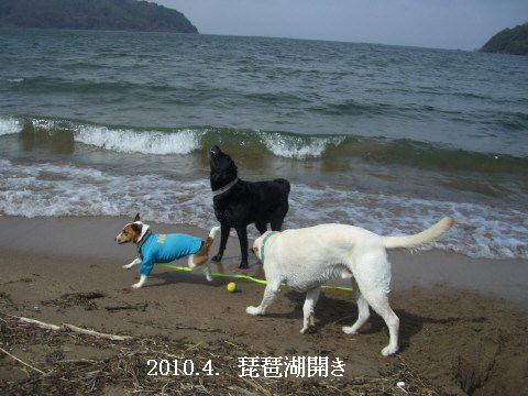 2010.4.4.琵琶湖開き