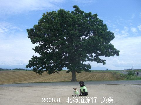 2008.8.北海道