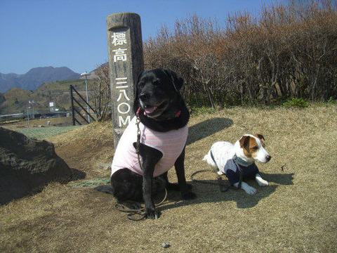 2012.3.2-14
