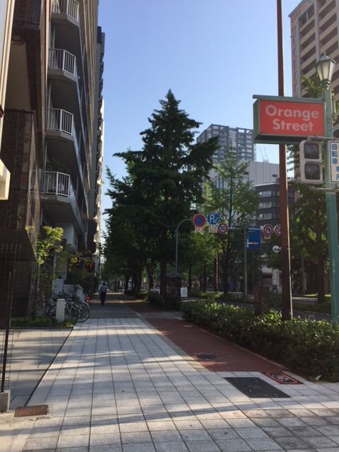 イメージ 1