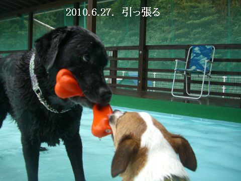 2010.6.27可愛い