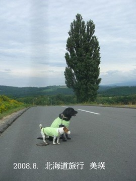 2008.8.-北海道
