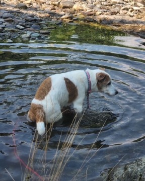 5C125F9E-212D-4385-92DE-FD59CE5B0768