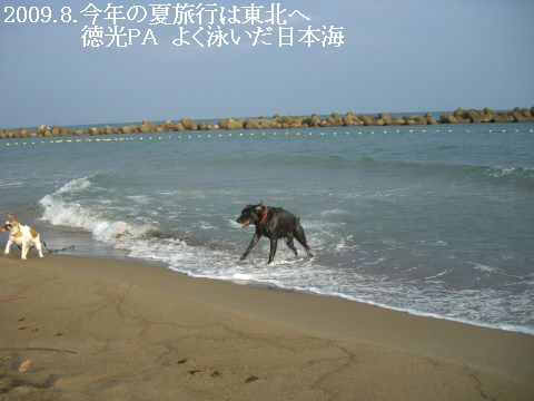 2009.8.1