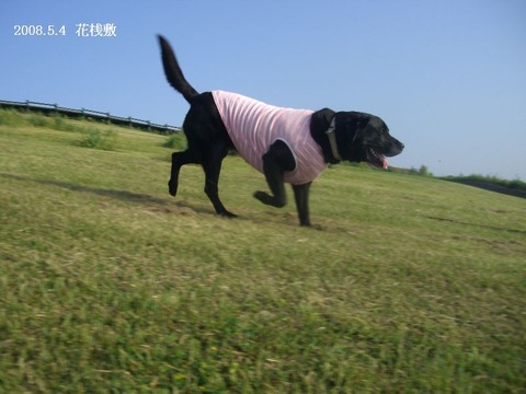 2008.5.7