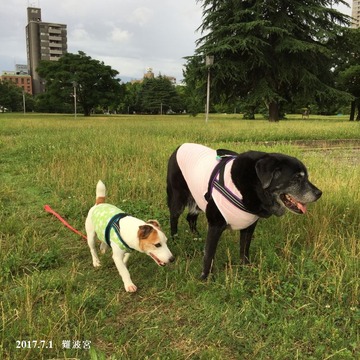 2017.7.1 (2)
