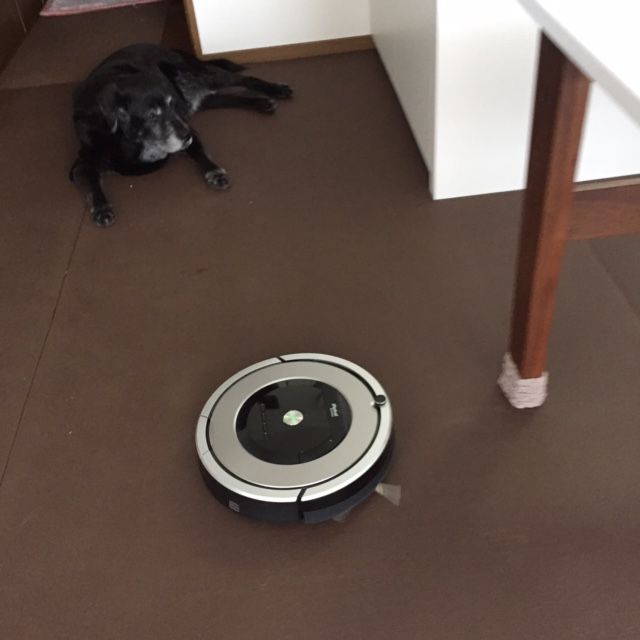 イメージ 9