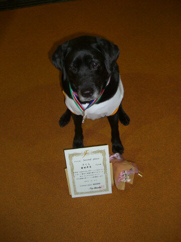 コンパルソリ2010.1